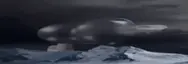 ass69