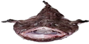 MONKFISH