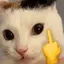 FUHYOU