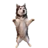 floppyHappie emote