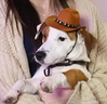 Watson emote