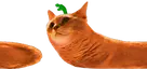 chorming