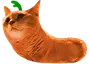 chormJam