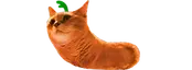 chormtosis