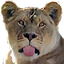 Blep
