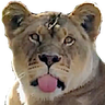 Blep emote