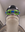 SadShark