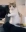 PleaseStreamer