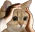 Ohno