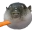 AAUGH
