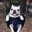 Doglookinghappyandswinging