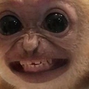 MonkeyStare emote in 7TV