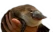 Greg