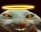 XdAngel