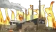 fl0msChat