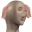 Panik