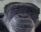 fredrick
