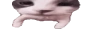 catKiss