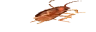 WIDEROACH