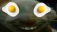 eggsdd