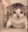 CatEmotes