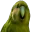RareParrot