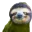 RareSloth