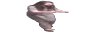 SurefourHittingDaGriddy
