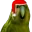 RareParrot
