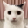DefinitelyNotPossessedCat
