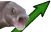 STOOOONKS