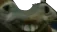 xddflippingonxddentge