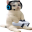 catsittingverycomfortablegaming