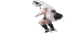 SodaHittingDaGriddy