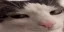 wink
