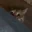 Hiding