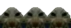 xddxConga