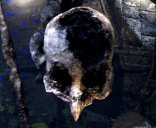 DeathBirdLookingAtYou emote in 7TV