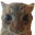 IHaveHiredThisCatToStareAtYou