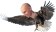 ELIGE