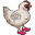 cock_in_crocs_with_socks