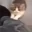 CatClimb