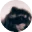 Pedro