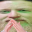 fl0mHmjj