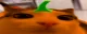 plink
