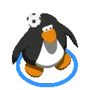 pingi