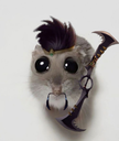 discodraven__