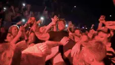dancingkiwis