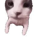 gtinse